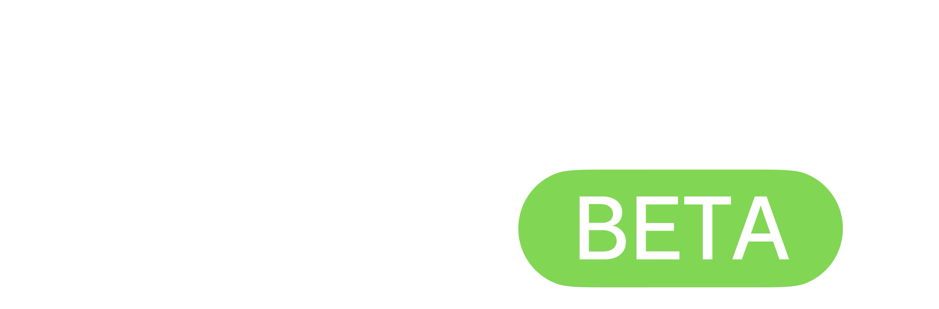 WiiLink24 Logo